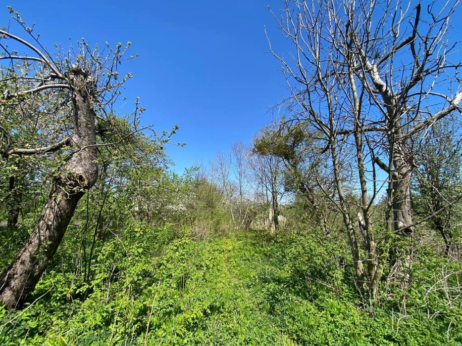 Продається земельна ділянка з будинками у м. Кременець