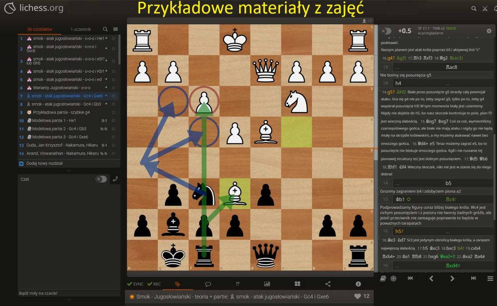 Nauka gry w szachy - Trener szachowy online
