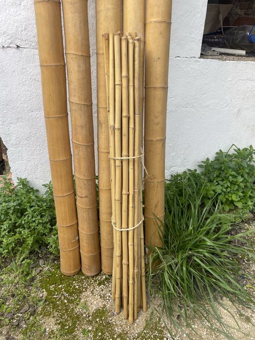 Bambu 100cm x 2 cm