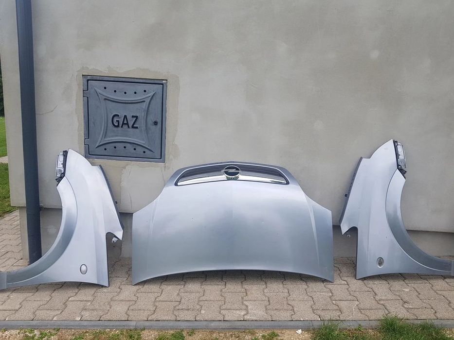 błotniki lewy lub prawy meriva a kod koloru z163