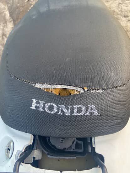 хонда дио 34 продам