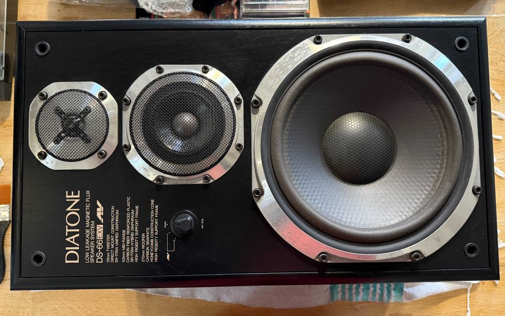 DIATONE DS-66EXV japońskie kolumny głośnikowe