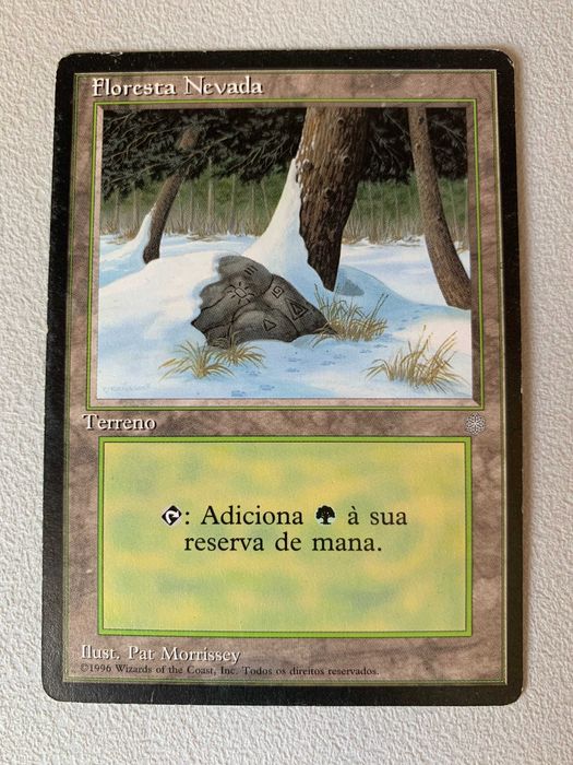 [MTG] Snow-Covered Forest