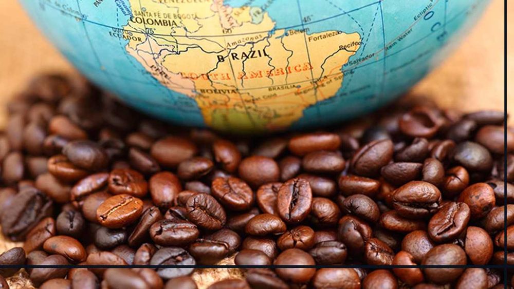 Café Arabica e Robusta