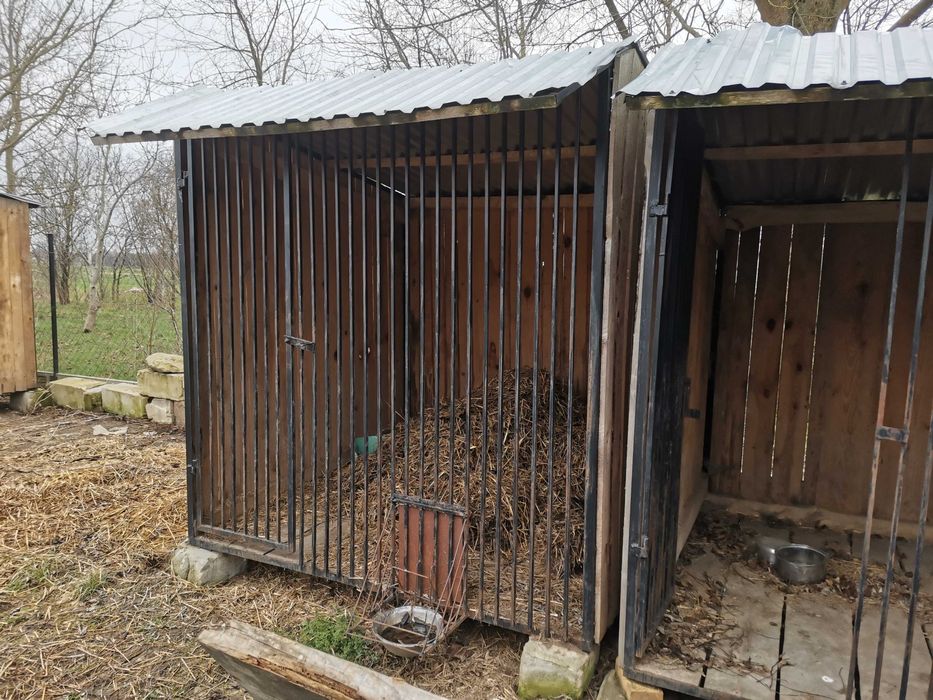 Kojec dla psa. Masywny