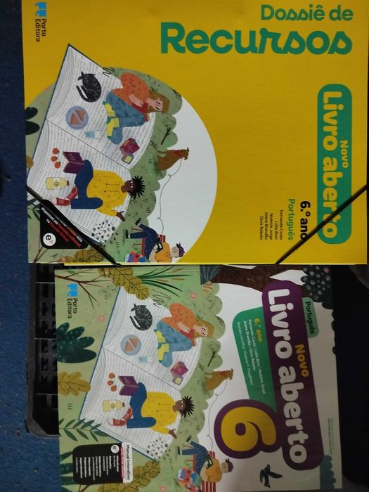 6º ano: versão do professor - manuais de Português, cadernos de atividades, planificações. Novos! 5€ cada