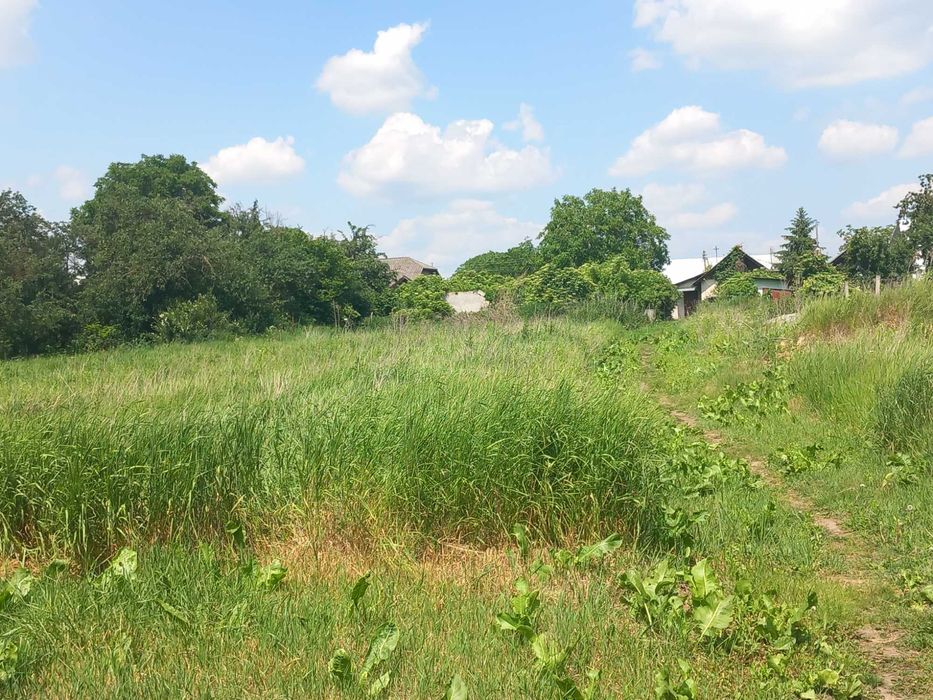 Земельна ділянка, будинок