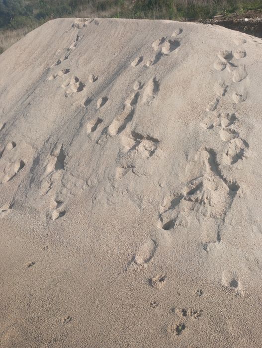 Seixo do rio, areia do pinhal