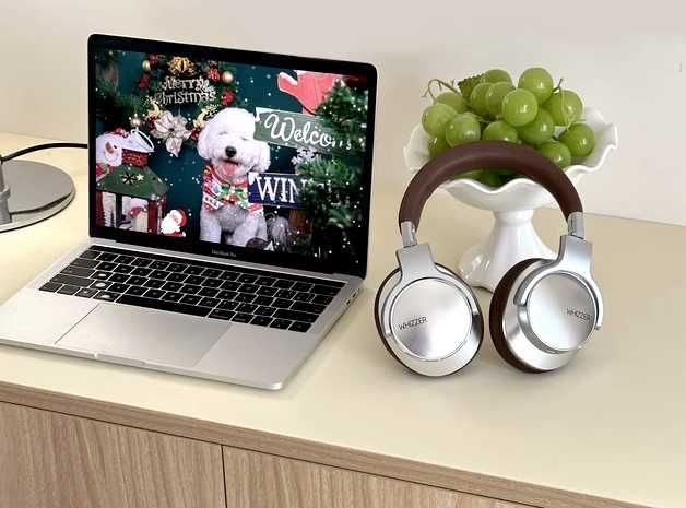 Гібридні Hi-Res Bluetooth-навушники Whizzer W1S з ANC (у стилі ретро)