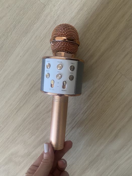 Мікрофон.