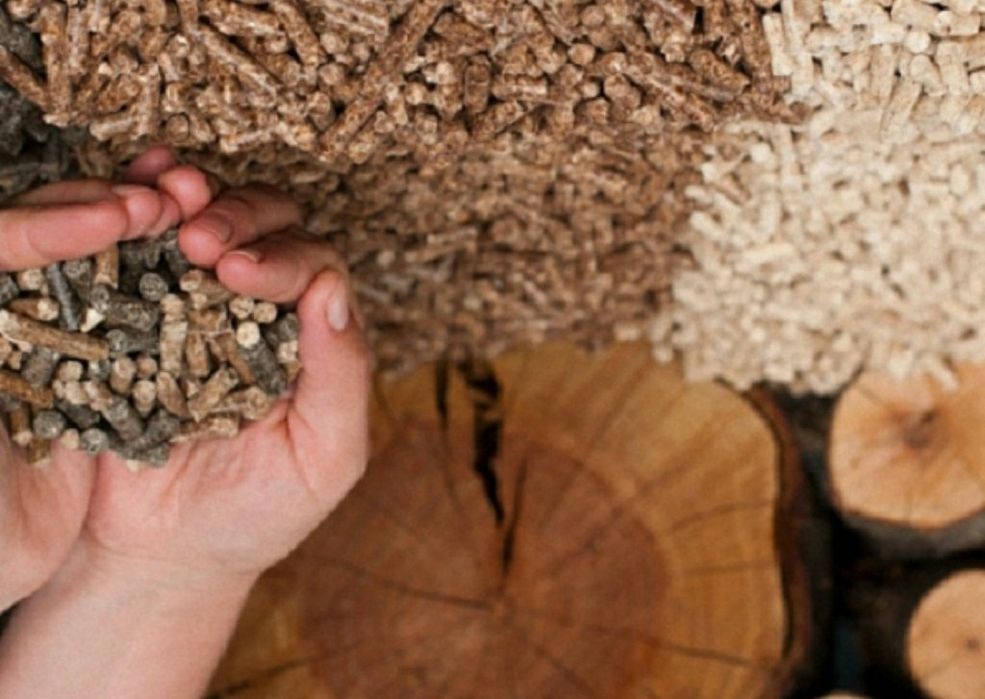 Древесные топливные гранулы ( из Дуба, березы, сосна, ясень) Светлая