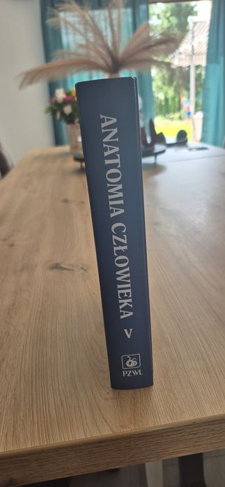 Anatomia człowieka tom V PZWL