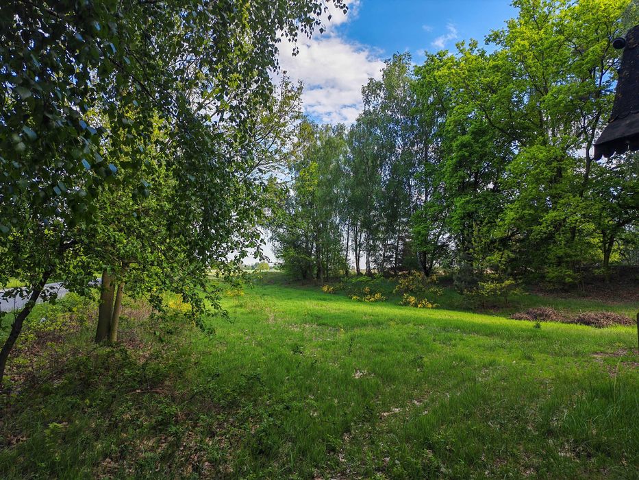 Malownicza Działka 1700 m² z WZ, w Dębe, 12 minut od placu Kilińskiego, Kalisz. - Więcej