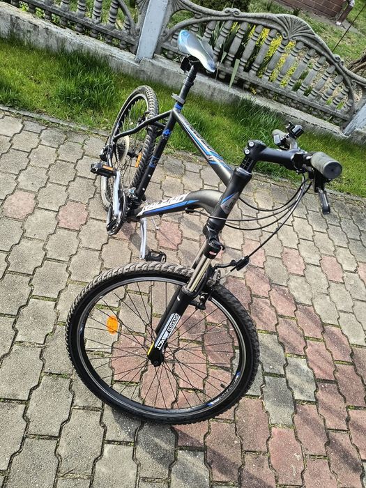 Rower męski Raleight Talus
