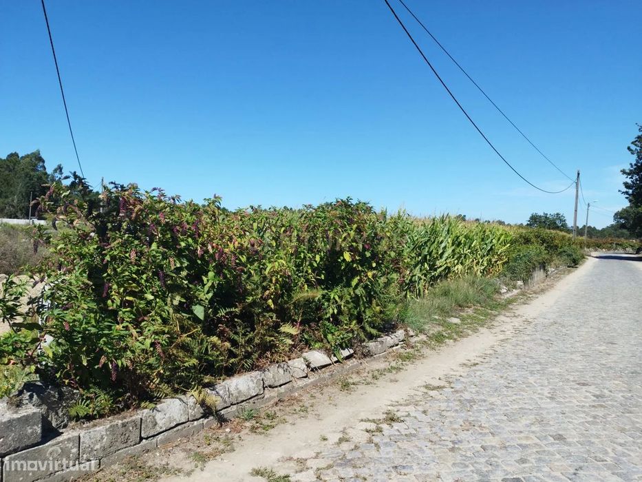 Terreno Para construção em Gemeses com 4300m2