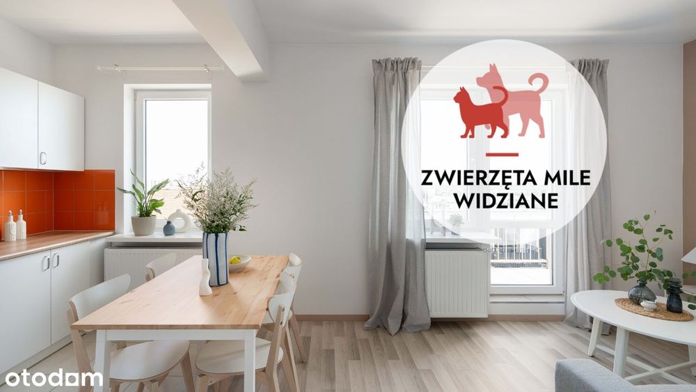 Kawalerka z balkonem | Wilda Saperska | bezpośrednio