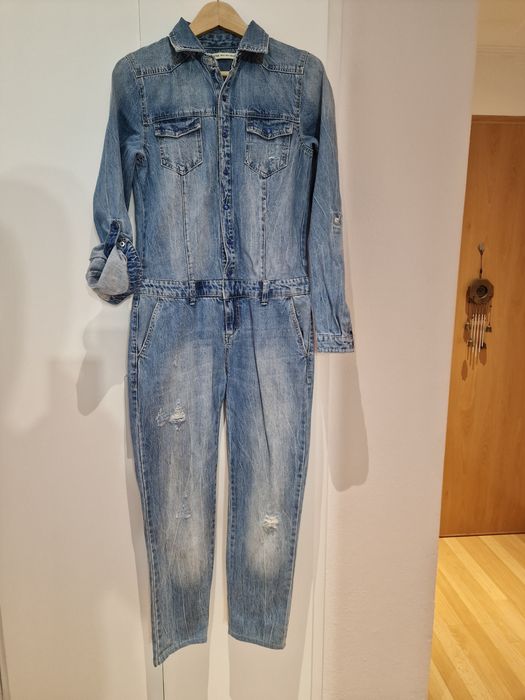 Macaco de ganga stradivarius 36