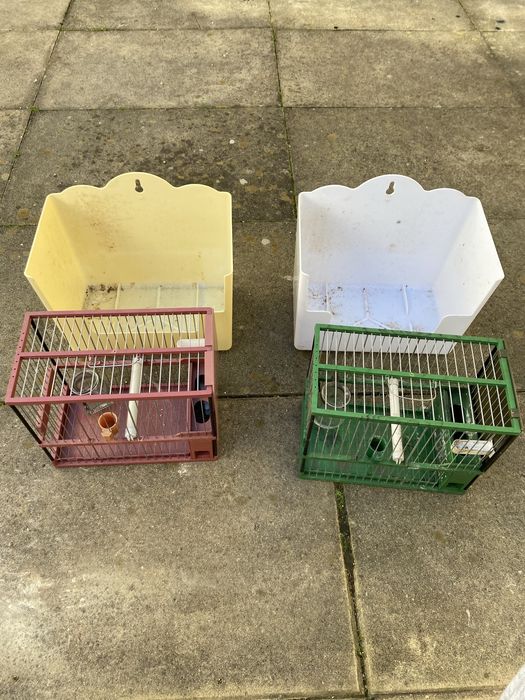 gaiolas de silvestrismo