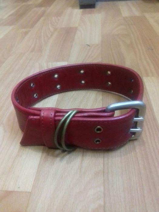 Новый кожанный ошейник для овчарки...