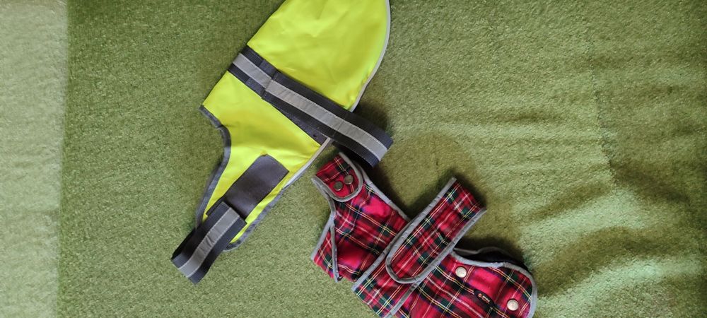 Одежда для собак