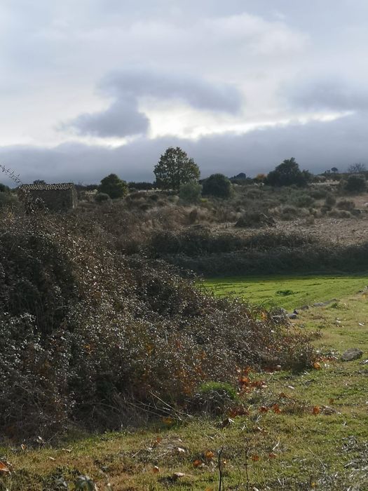 Terreno rústico Escalhão