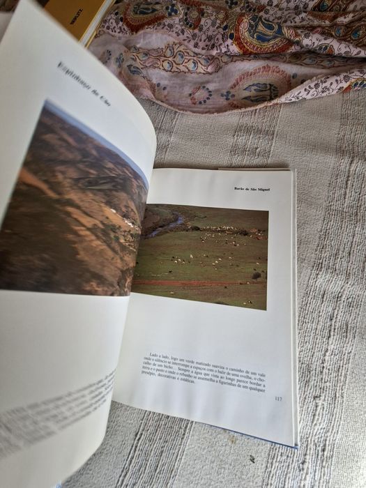 Grande livro álbum sobre o Algarve anos 80