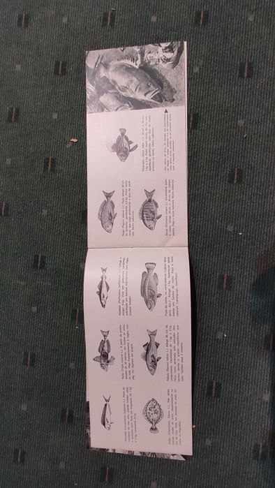 Pesca á linha nos mares de Portugal - G. W. Schmidt-Luchs