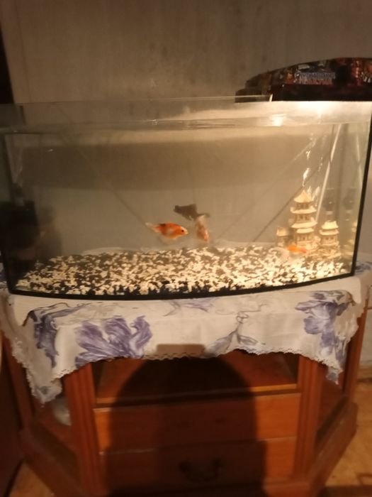 Akwarium 125 litrów+-
