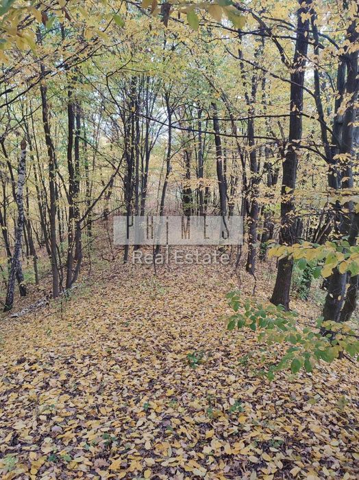 ПЕРША ЗДАЧА | унікальний будинок 390 м² серед власного лісу