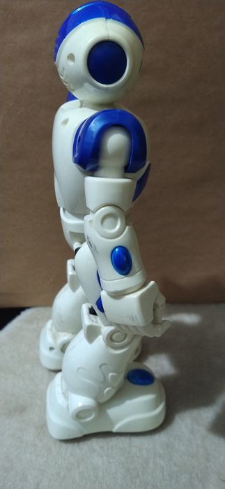 Electronic robot without remote control454886423035258881