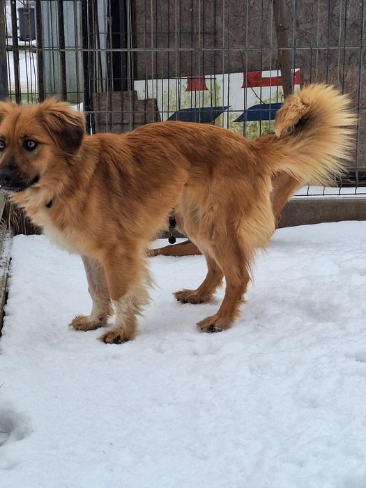 Sunia Sara szuka kochającego domu