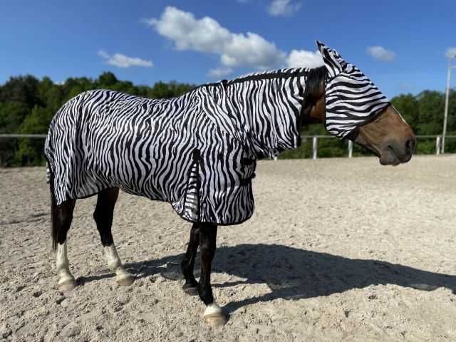 Derka siatkowa START Zebra z szyją +belly