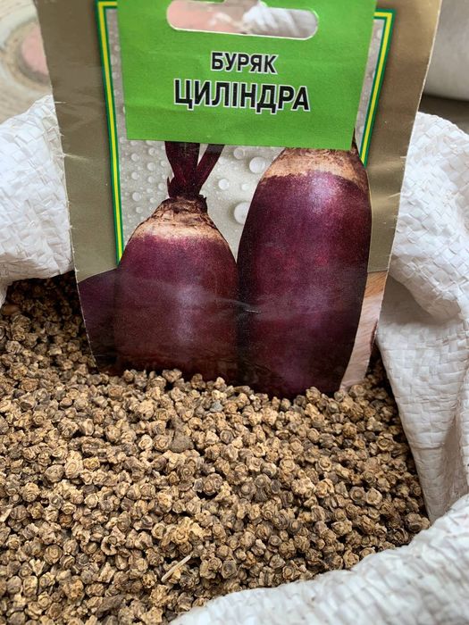 Семена/Насіння буряка столового