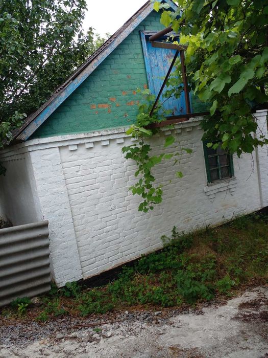 Хата Білоцерківський район