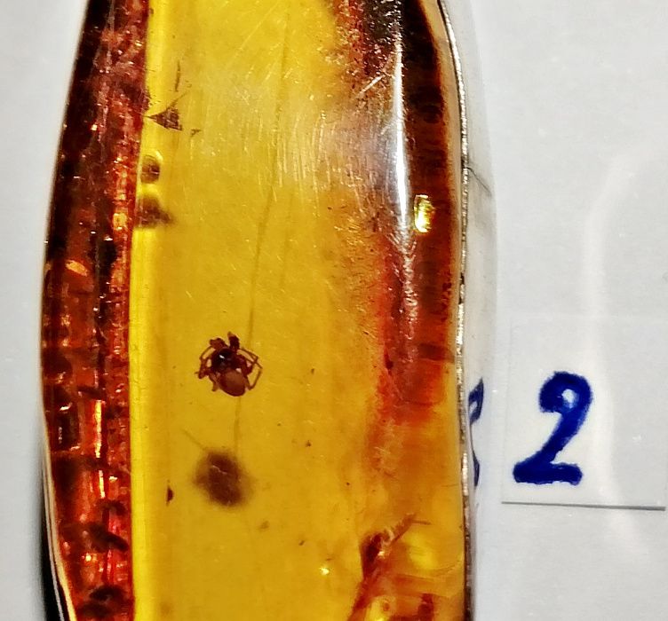 Wyroby ze srebra , srebro , bursztyn , inkluzje