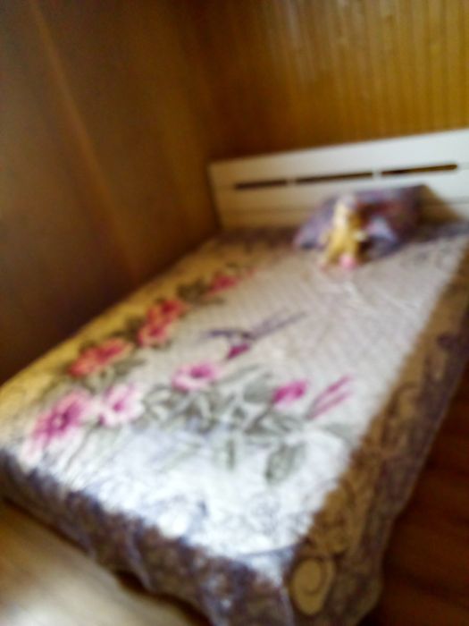 Продам дом /дачу в Кошарах