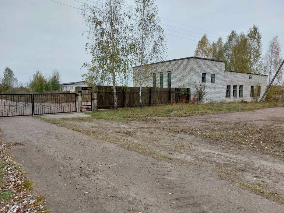 Комерційна нерухомість