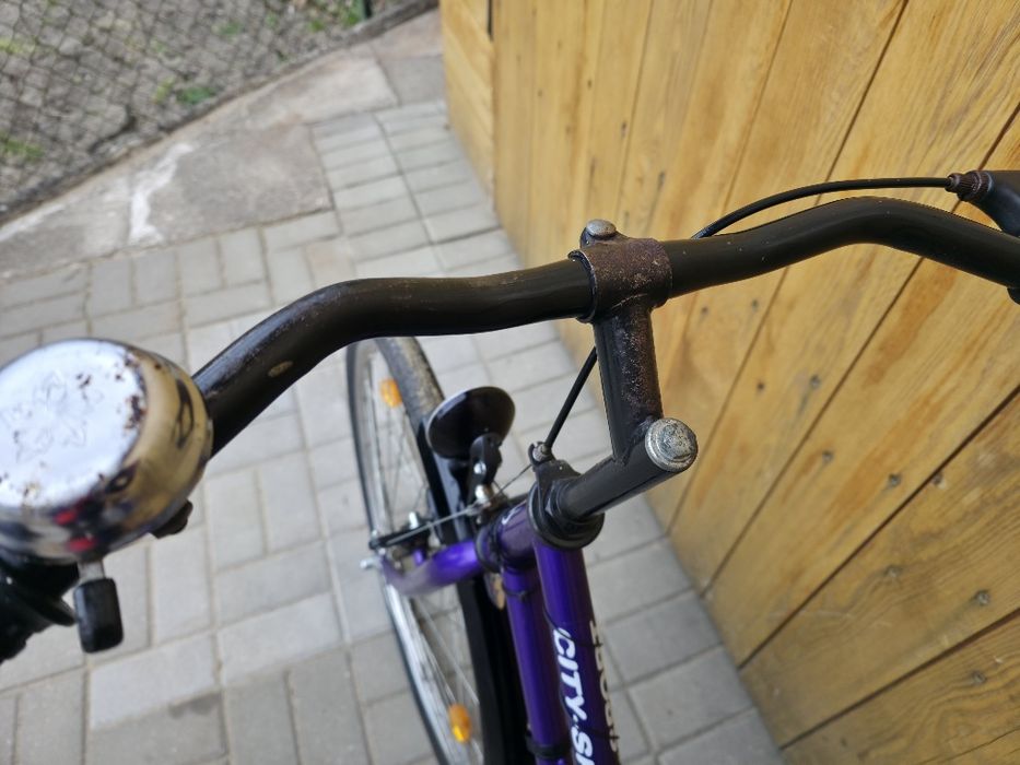 Fioletowy rower damski Capriolo