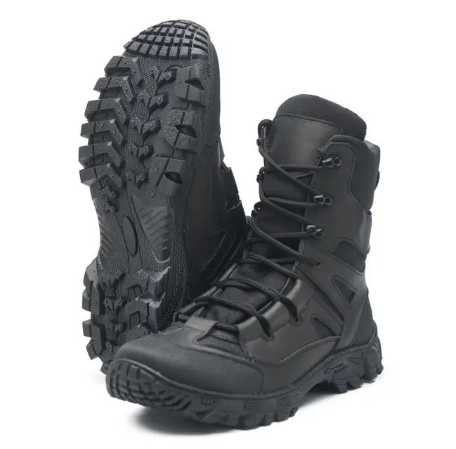 Берци чорні літні