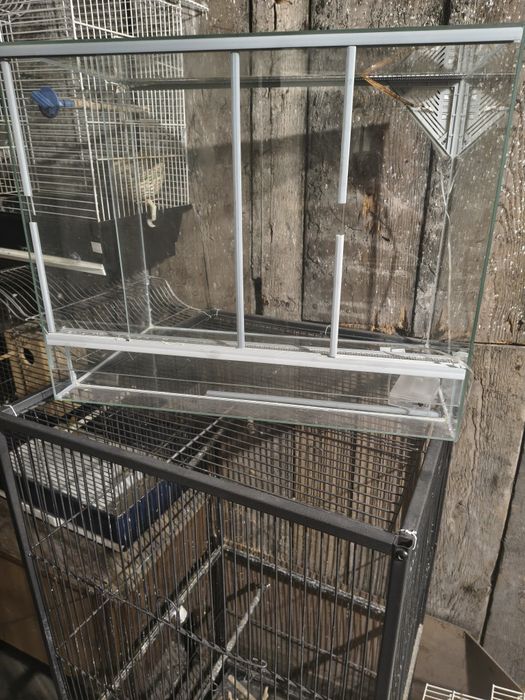 Terrarium używane