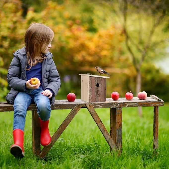 Budka lęgowa dla ptaków