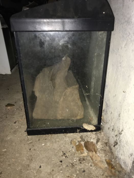 Aquario de 1 metro de largura