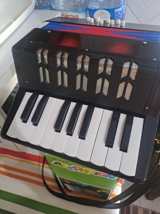 Acordeon criança