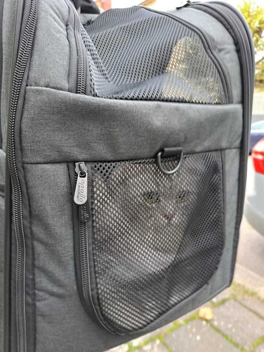 Plecak Transporter dla Kota Psa do 7kg Oddychający Solidny NOWY wysyłk