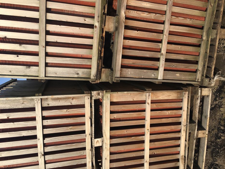 Doniczki produkcyjne 14 cm teracota