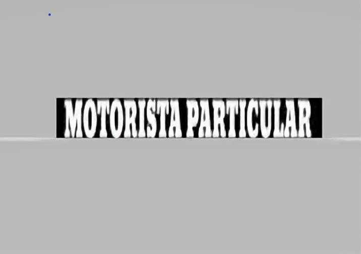 Motorista Particular...