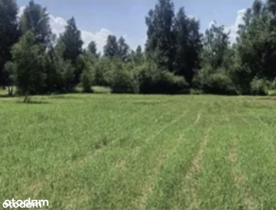 35 km od Warszawy