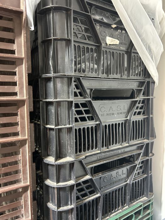 Skrzynki plastikowe male po warzywach