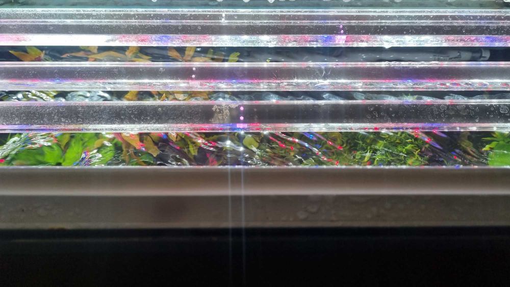 Akwarium 240l OptiSet + Ultramax 1500 + CO₂ + LED + aranżacja + ryby – komplet premium
