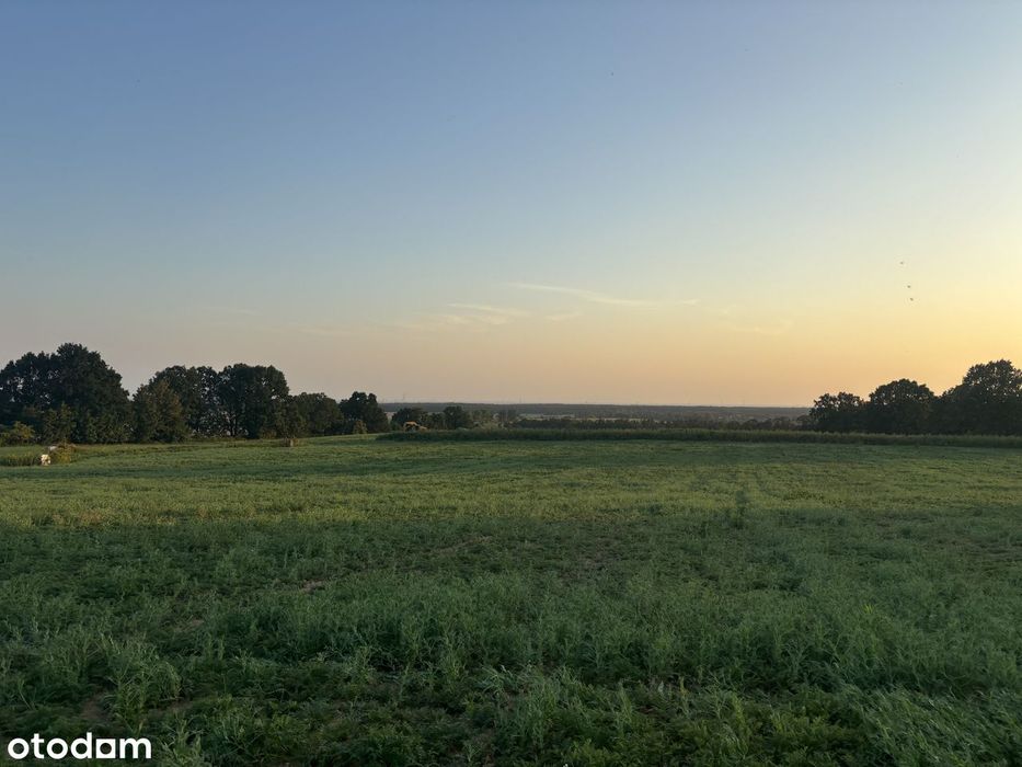 Widokowa działka budowlana 1200 m² z mediami - NOWA CENA! - Widok 3